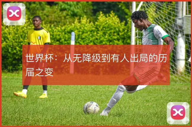 世界杯:从无降级到有人出局的历届之变