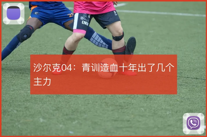 沙尔克04:青训造血十年出了几个主力
